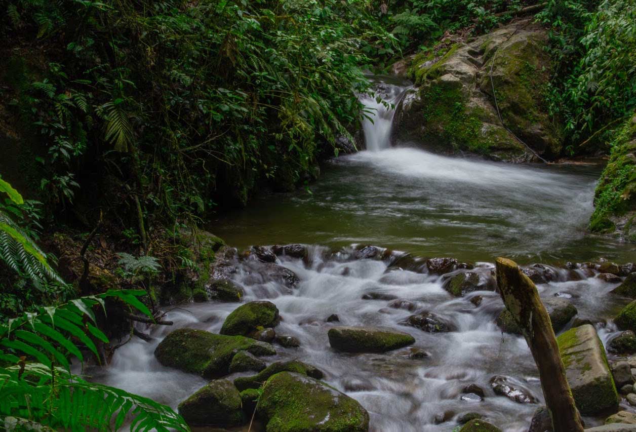 Río Quindío en Santa Rita